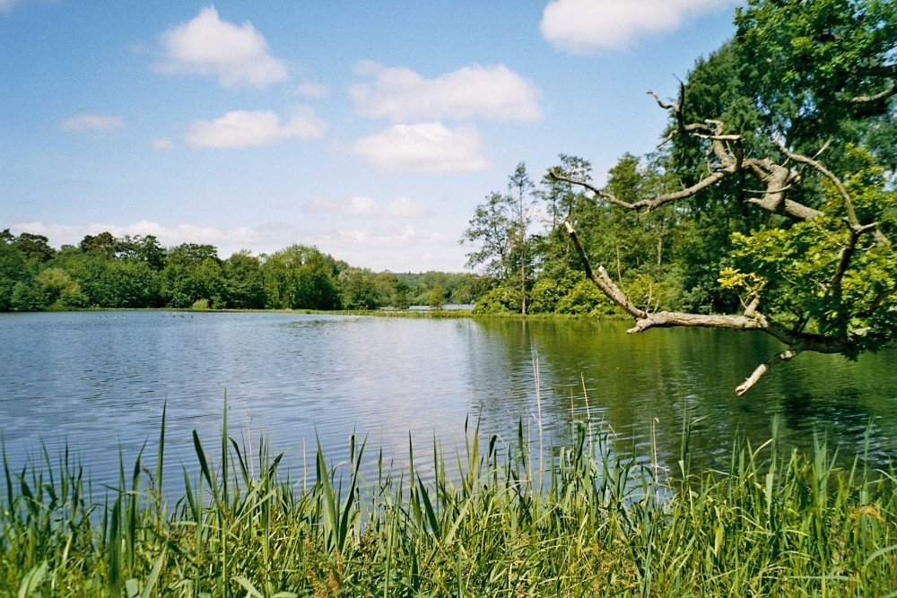 Castle Howard, York