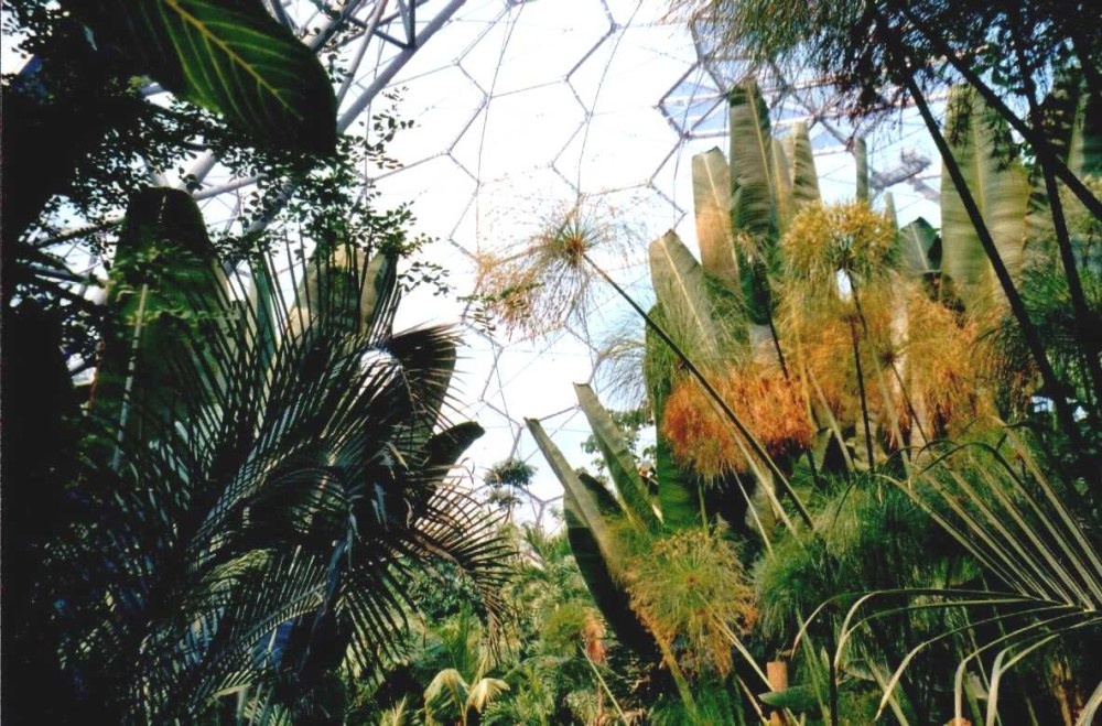 A picture of The Eden Project