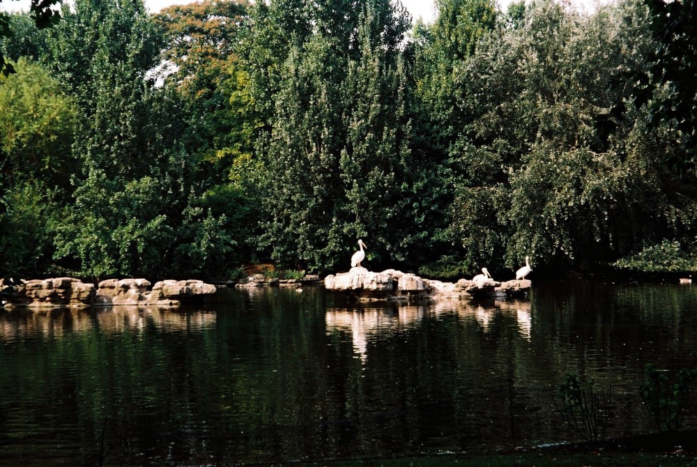 St. James' Park, London