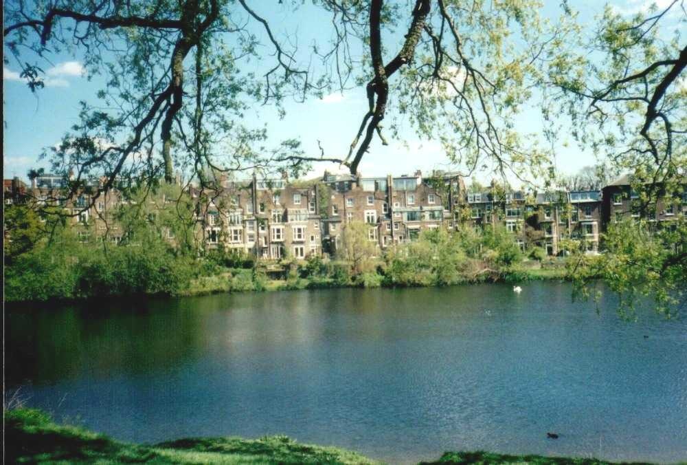 London - a picture of Ponds of Hampstead Heath