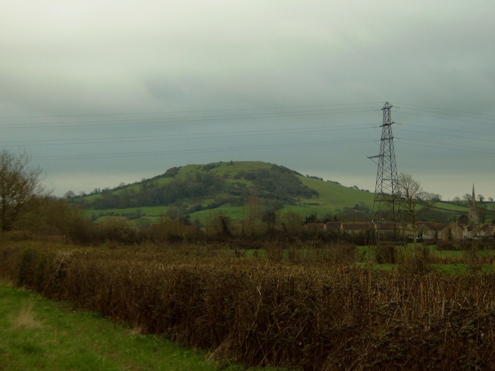 A picture of Brent Knoll