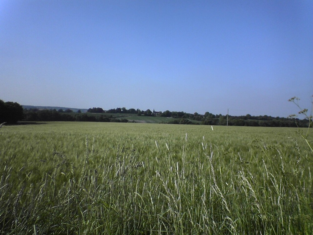 The village of Binsted in Hampshire