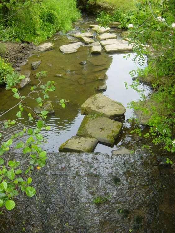A stream at the Dam near gilroyd and dodworth, Barnsley South Yorkshire