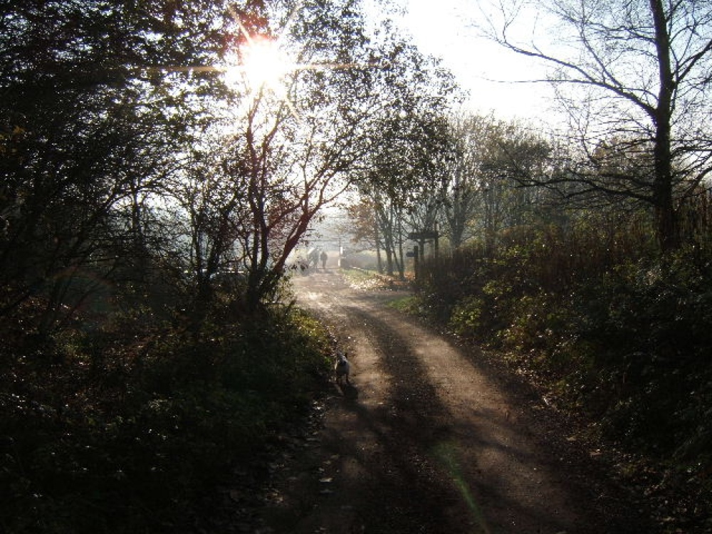 Taking the dog for a walk. Weaver Valley, heading in the direction of Newbridge, Winsford, Cheshire