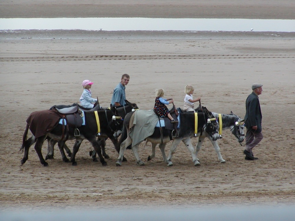 Children enjoying Donkey rides on the sea front at Blackpool, Lancashire