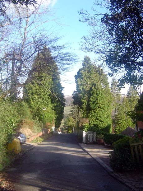 Looking down Trevor Hill towards Church Stretton, Shropshire.