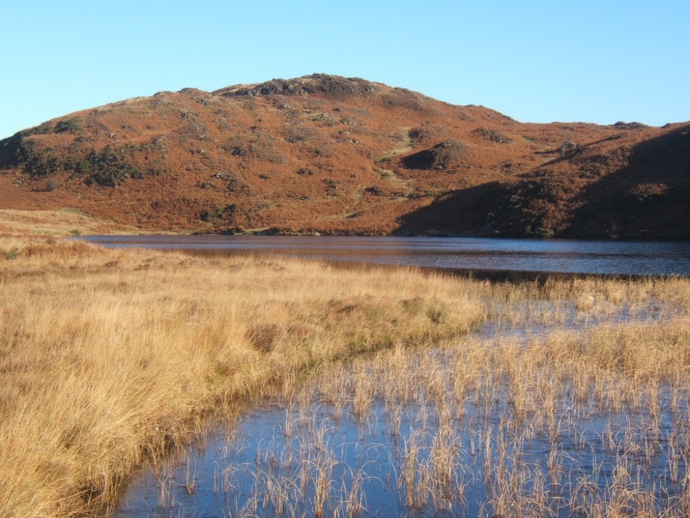 Beacon Tarn set in the Blawith Fells, Cumbria.