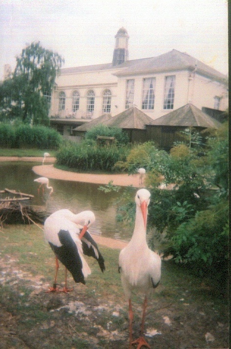 Clifton Zoo, Bristol