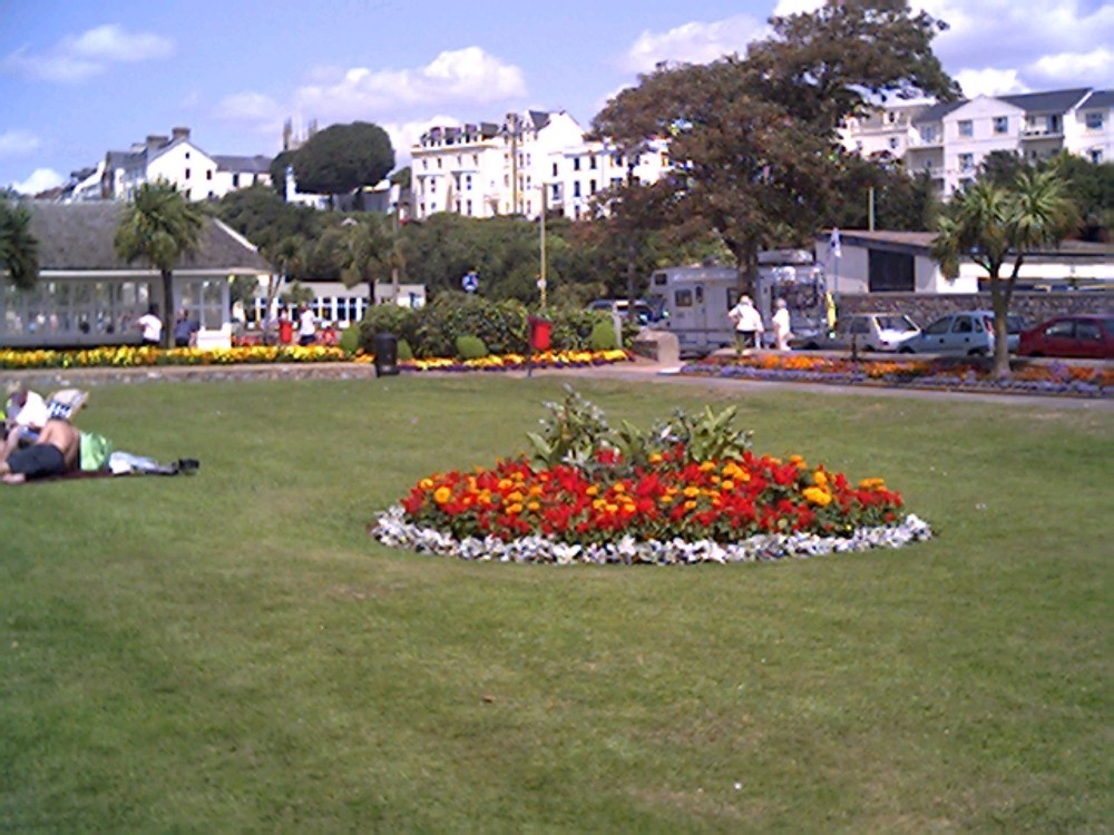 Exmouth floral displays on the seafront