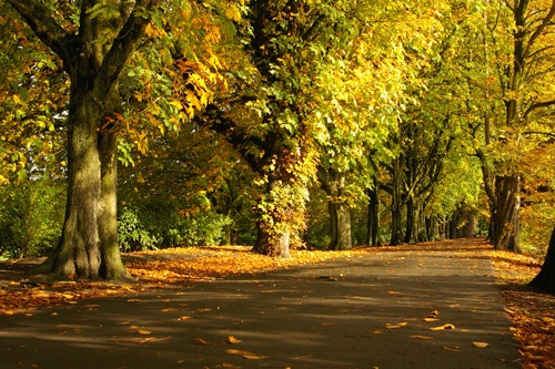 Avenham Park II: Preston, Lancashire