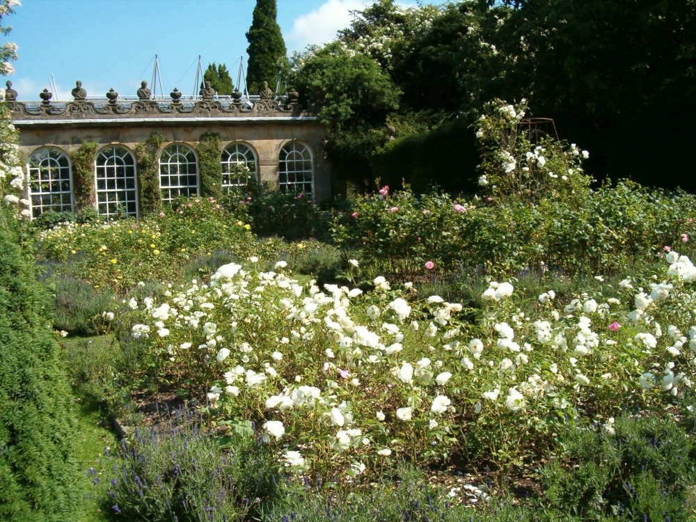 Chatsworth estate 2005