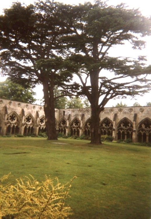 Salisbury Cathedral