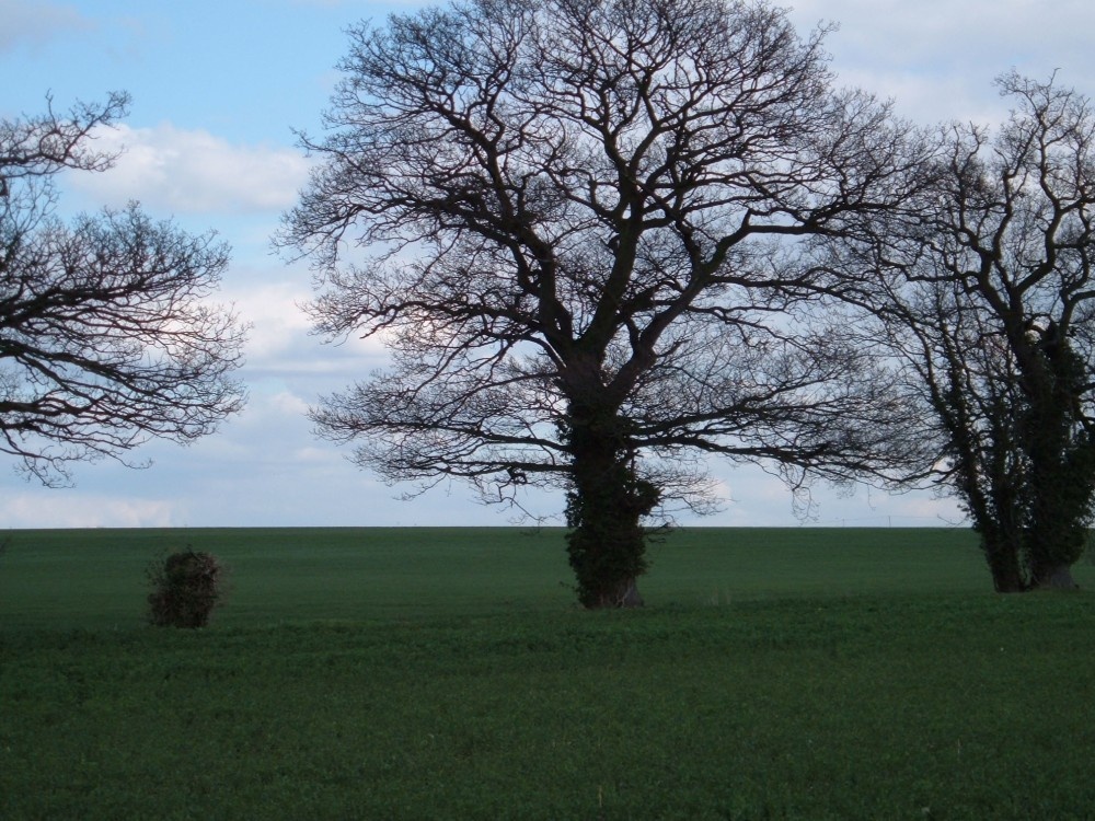 Field near the lakes in Henlow, Bedfordshire