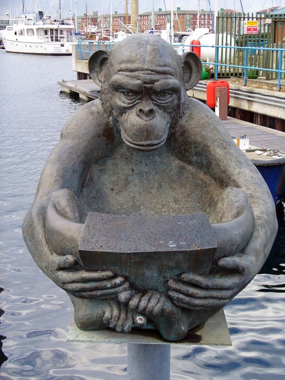 Hartlepool marina, County Durham