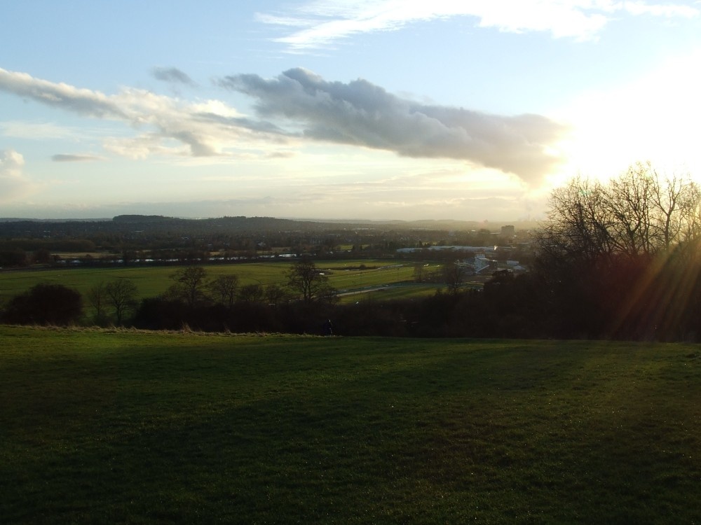 Photograph of Beautiful Picture of Colwick Woods in spring.