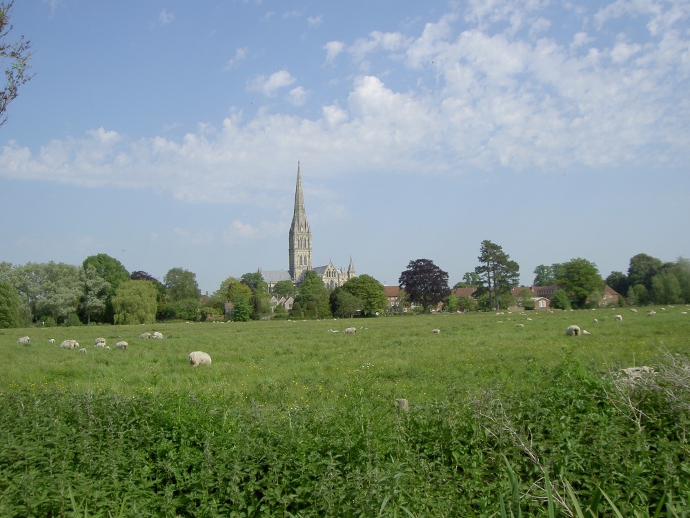 Picture of Salisbury Cathedral taken from the 'Town Path'