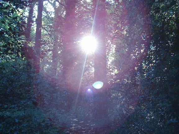 Summer scene Southampton Common, Southampton, Hampshire
Taken 2004