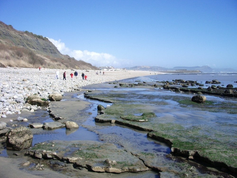 Monmouth Beach at Lyme Regis, Dorset.