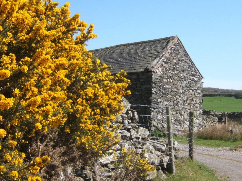 Scene on the back lanes towards the Whicham valley from The Green, near Millom, Cumbria.