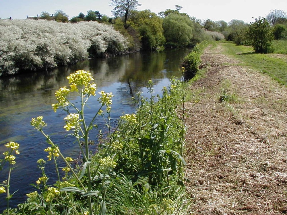 Kingsbury Water park, Kingsbury, Warwickshire.