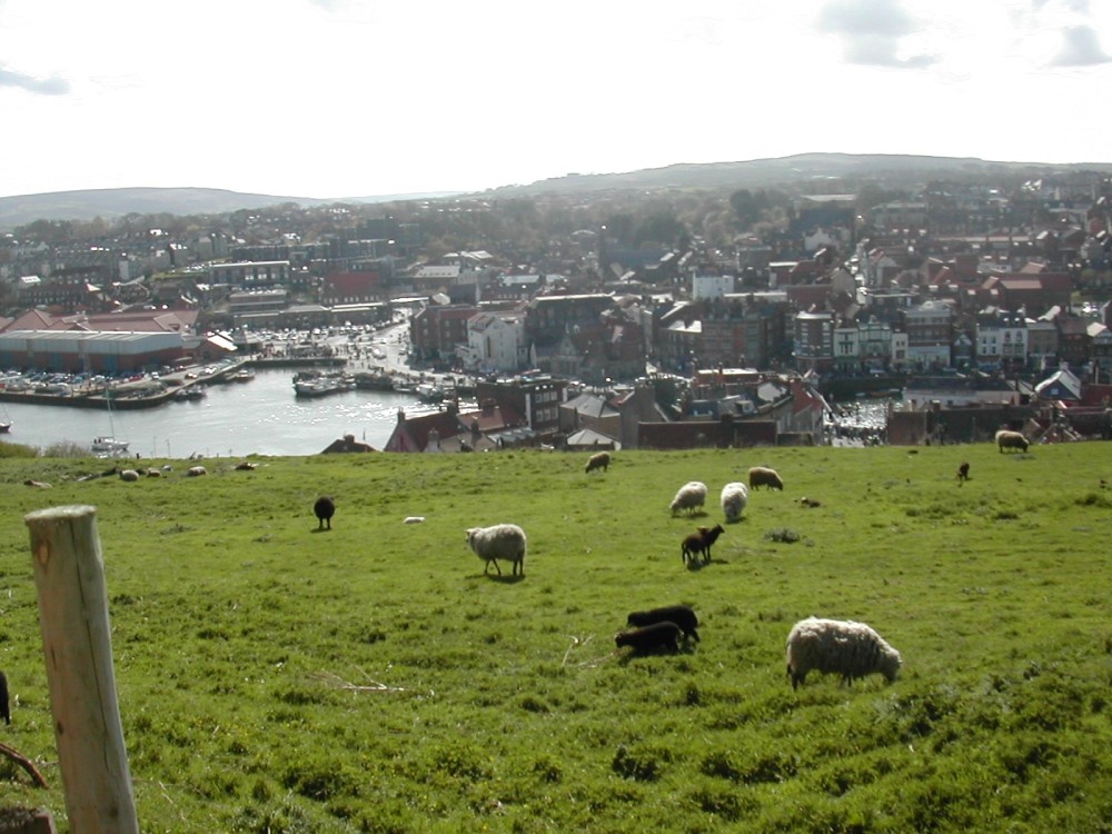 Whitby, North Yorkshire