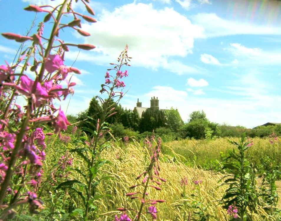 Moor House near Lea, Gainsborough, Lincolnshire.