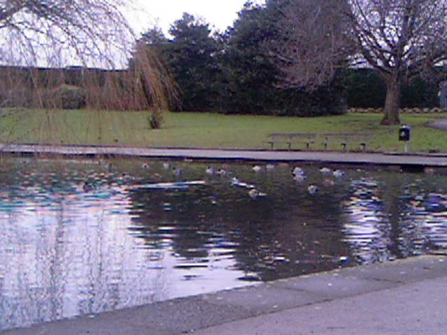 Peel Park ....Bradford,West Yorkshire