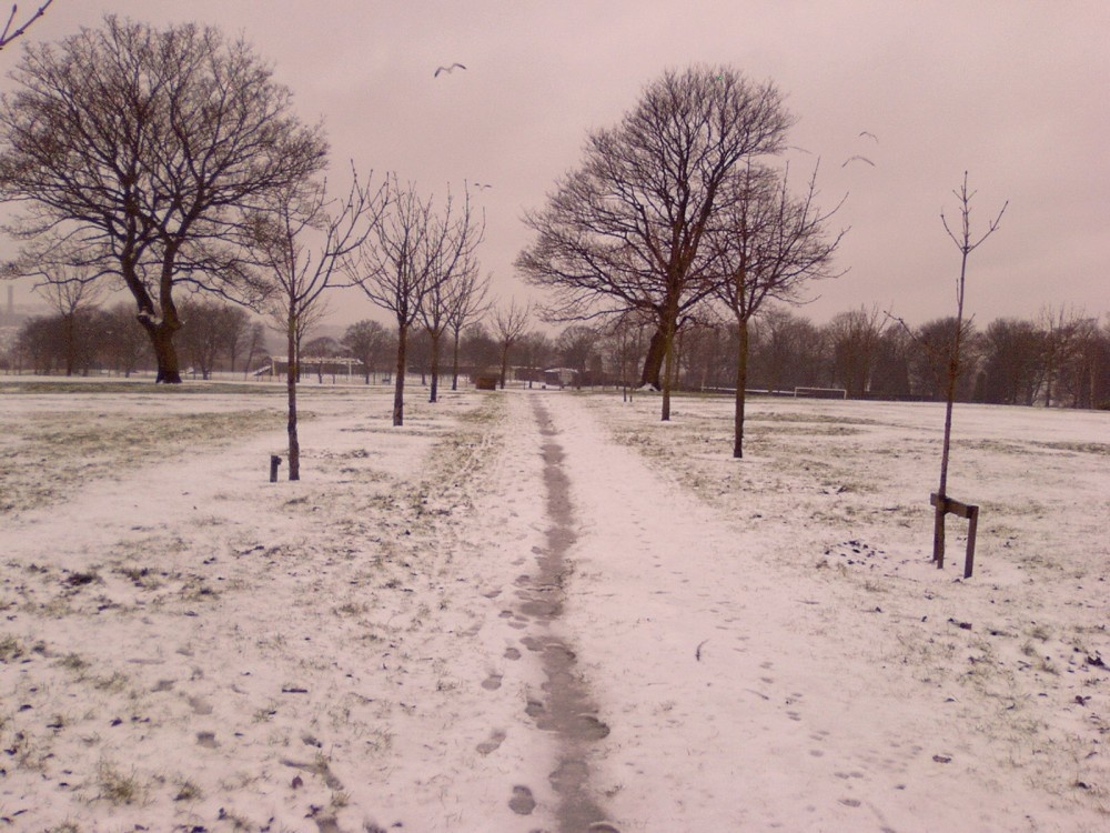 Peel Park ....Bradford,West Yorkshire