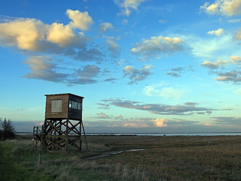 Photograph of Views from Chapel of St. Peters on the Wall at Bradwell on Sea, Essex
