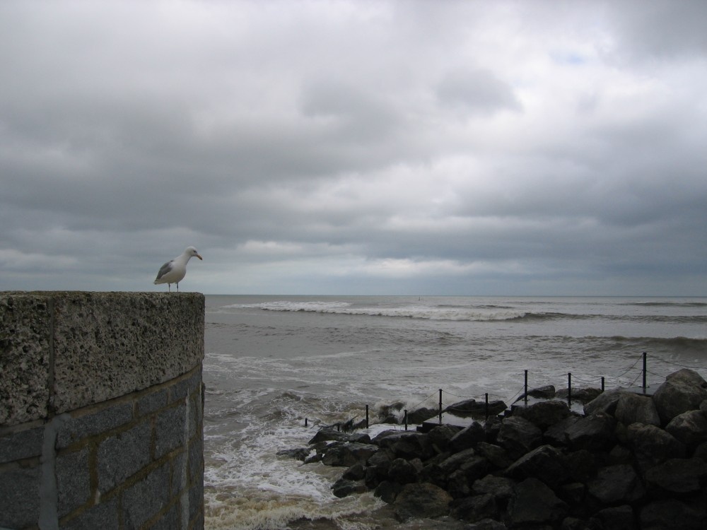 Lyme Regis, Dorset