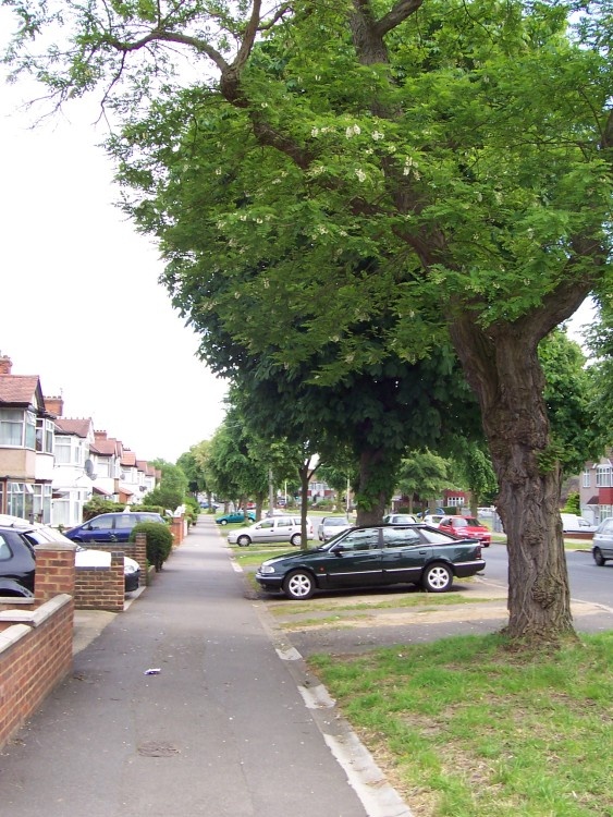 Whitton Avenue