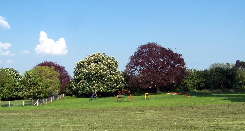 Photograph of Cutnall Green park in Summer