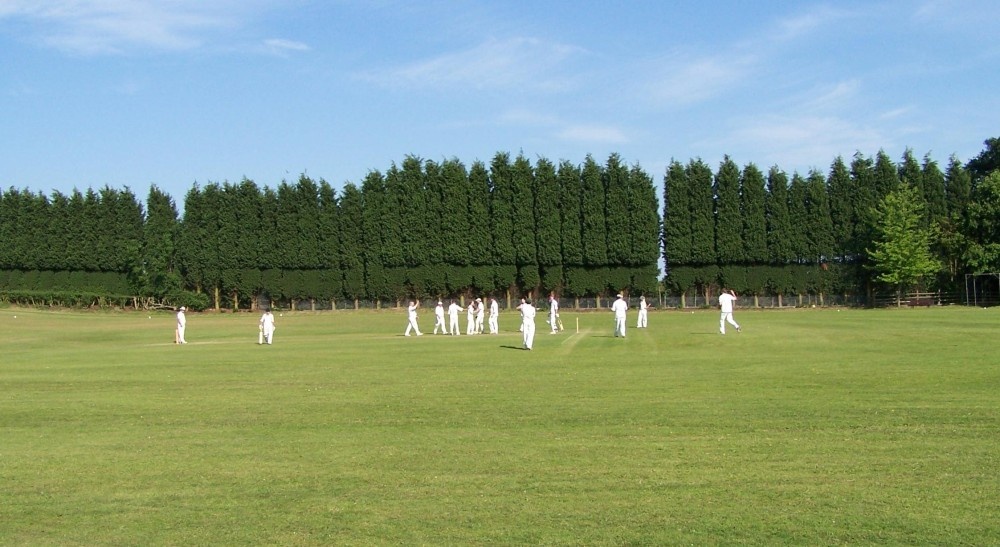 the village at play. Cutnall Green, Worcestershire.