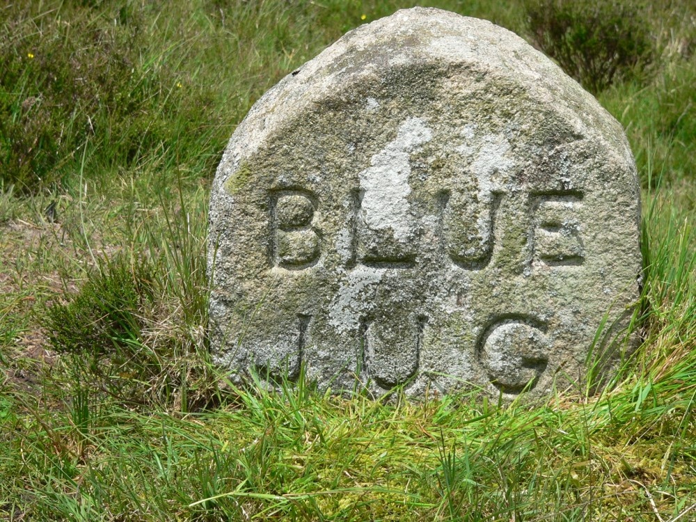 NATSWORTHY MANOR BOUND STONE ON DARTMOOR