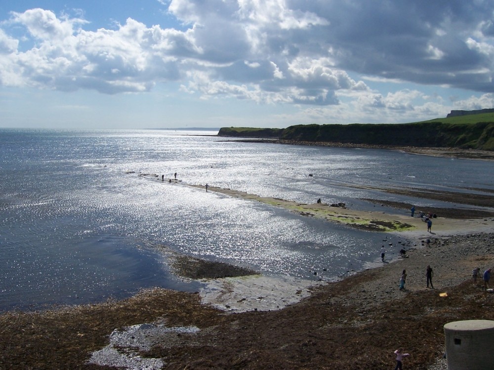 Kimmeridge Ledges in May. Kimmeridge, Dorset