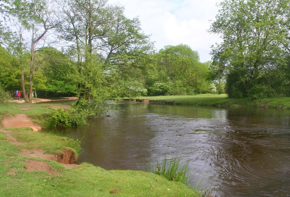 River at Balmer Lawn, New Forest, Hampshire