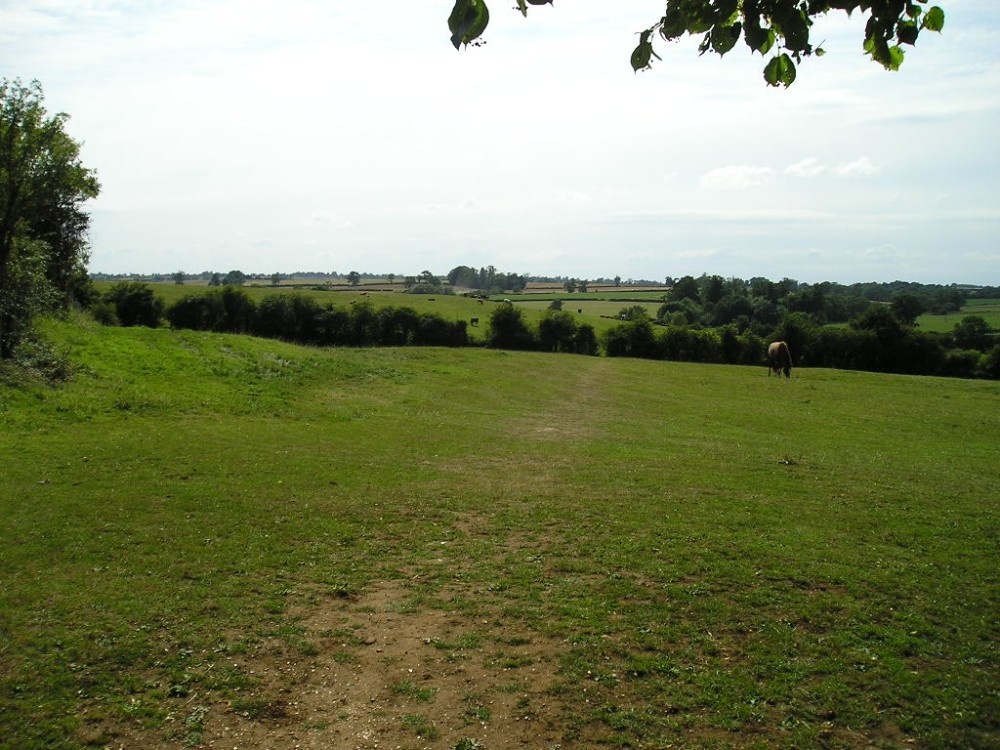 Photograph of View from bottom of Church Yard, Wing