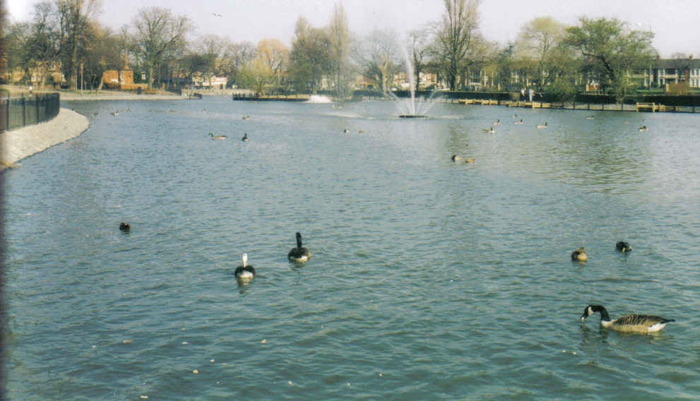 The Boating Lake in Albert Park, Middlesbrough