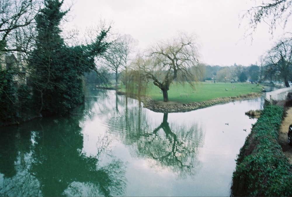 Looking toward the Village Green, 2005