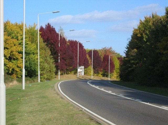 Autumn Colour along Oundle Road, Peterborough, Cambridgeshire