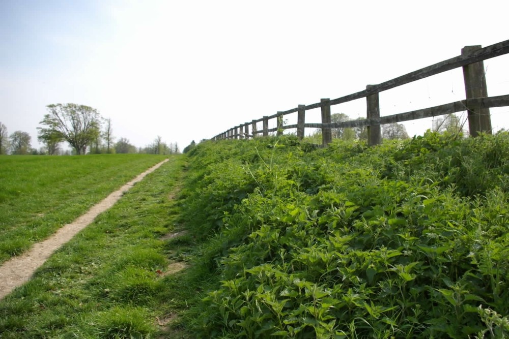 Audley End Park, Saffron Walden, Essex