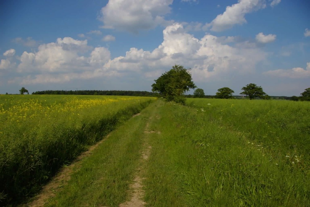 Countryside near Saffron Walden, Essex