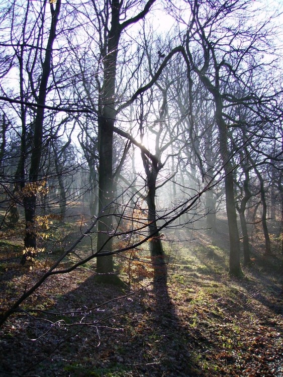 Rocky Brook, Darwen