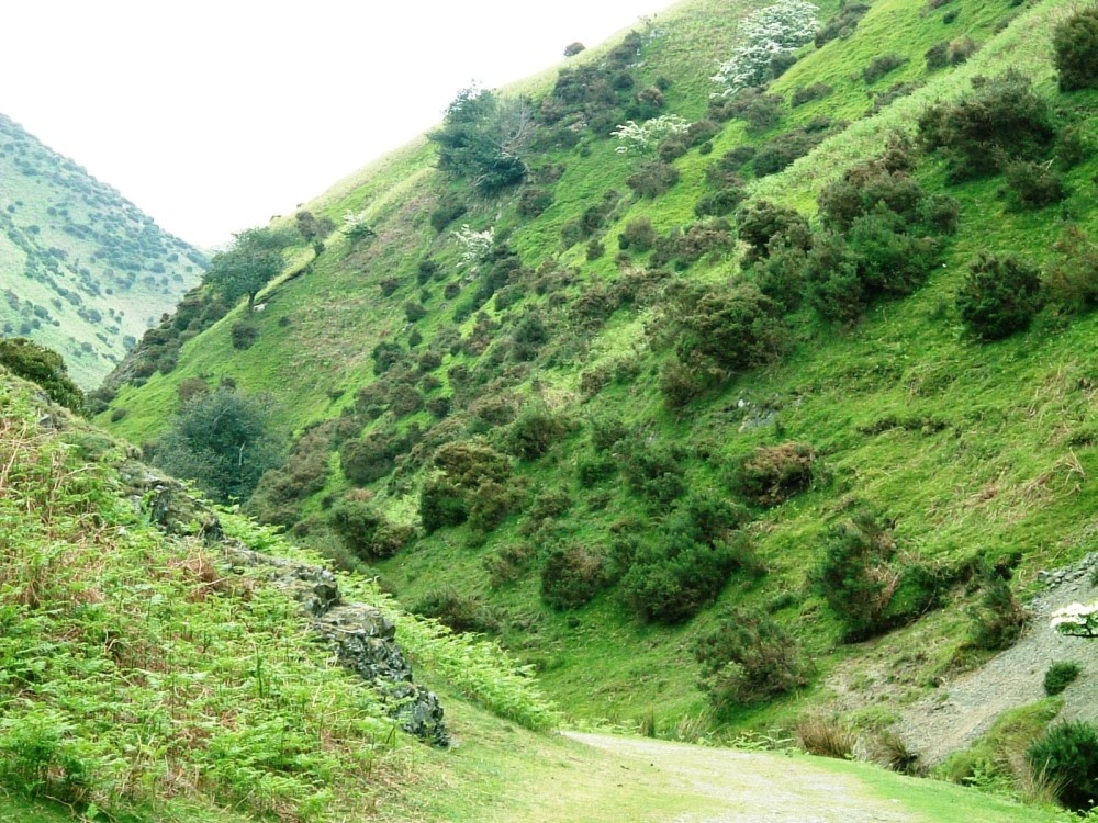 View of Long Mynd - Shropshire