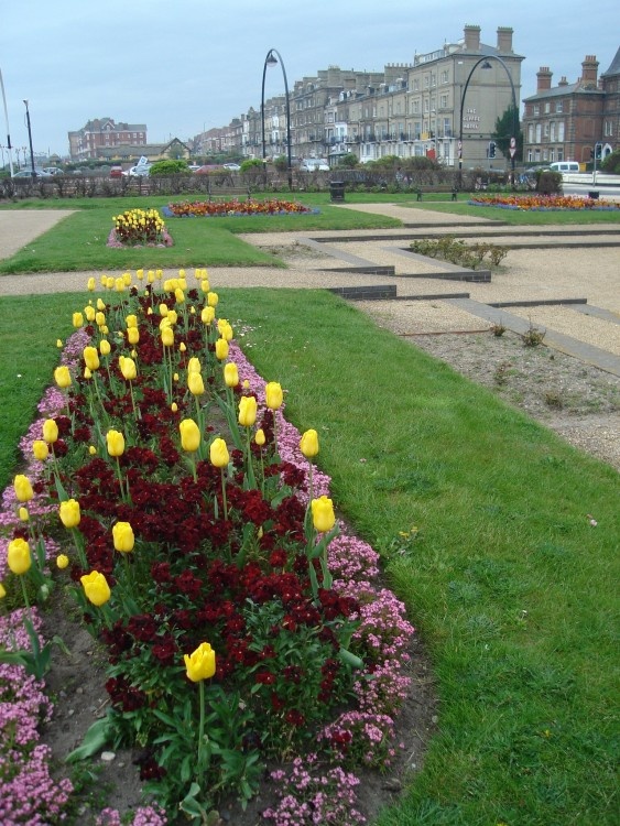 Park beside the beach.