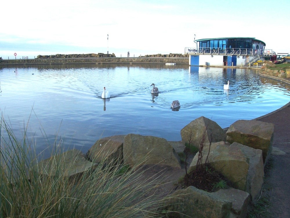 St'Annes Boating Lake New Years Day 2006