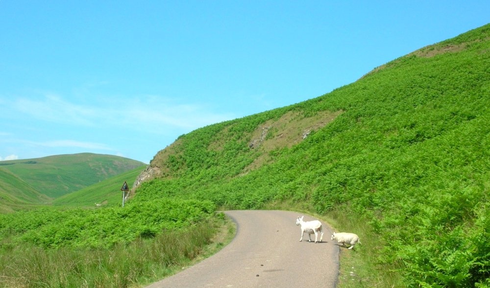 Narrow country road in upper Coquetdale through the Cheviot hills in Northumberland.