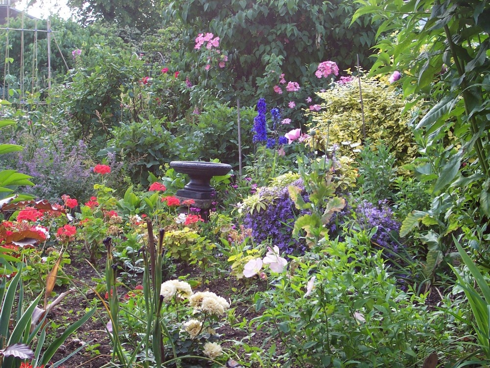 Allotment garden, Royal Hospital, Chelsea