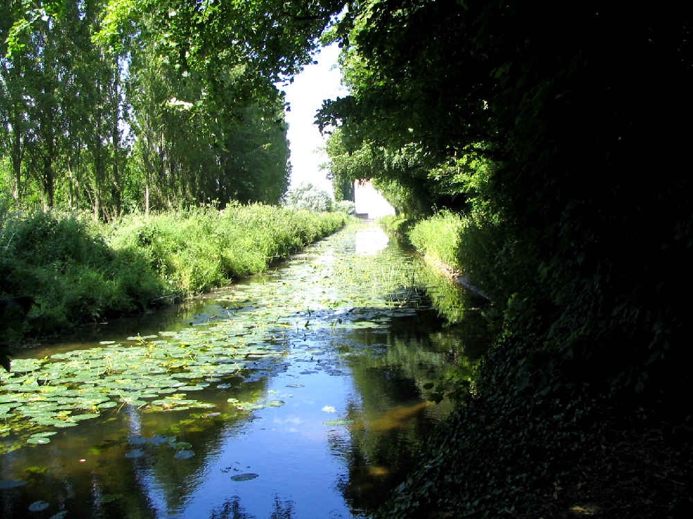 Anglesea Abbey, Near Cambridge.  - The river near Lode Mill