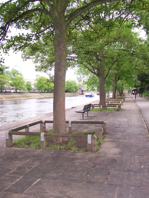 River view in York